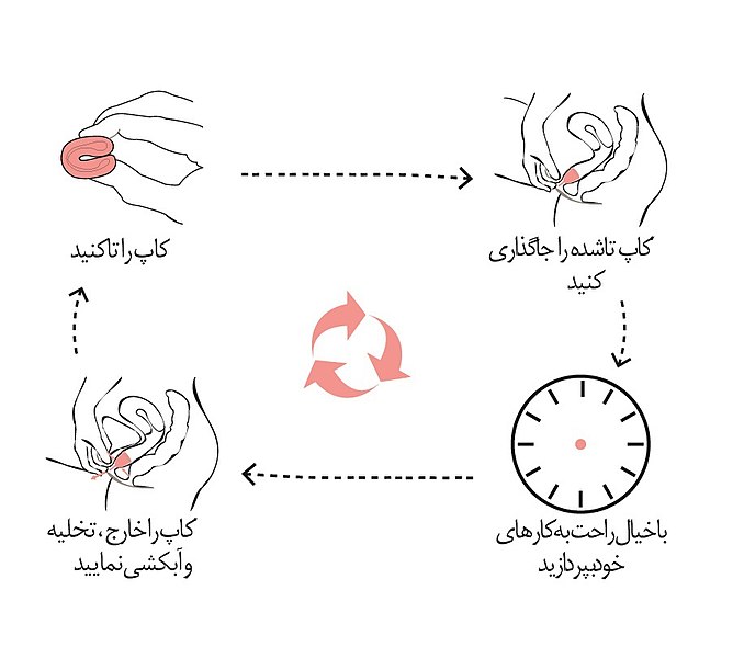 طریقه استفاده از کاپ قاعدگی - مراحل استفاده از کاپ قاعدگی با تصویر و فیلم - آنلاین کاندوم