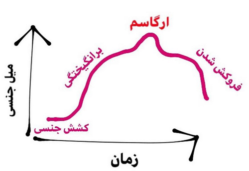 تحقیقات خانم دکتر رزماری باسون از پاسخ های جنسی مختلف در خانومها 